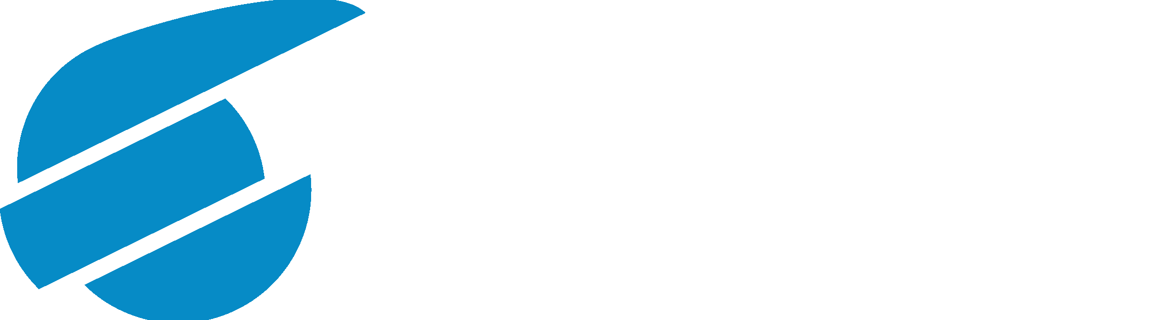 Nilort IT Group